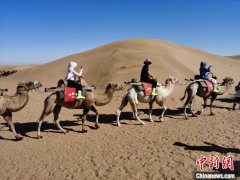 共同写好宁夏文旅融合发展大文章