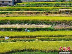 供乌武器收益大部分留在美国 军工复合体最大限度获利！